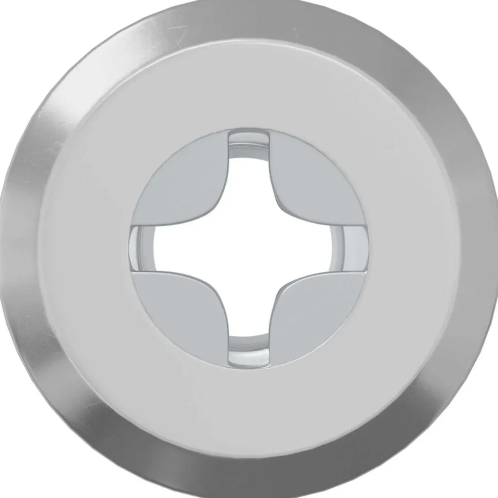 vidaXL Slotmoer 2 pcs Zilver M6 x 15 mm Staal
