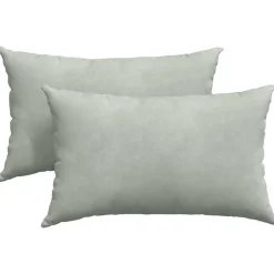 vidaXL Sofa Kussens 2 stuks Lichtgrijs 50 x 30 cm Cordstof