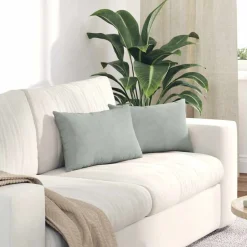 vidaXL Sofa Kussens 2 stuks Lichtgrijs 50 x 30 cm Cordstof