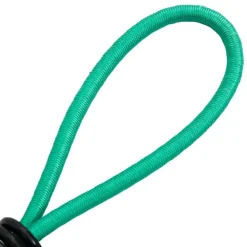 vidaXL Spanelastieken met haken 20 st 15 cm