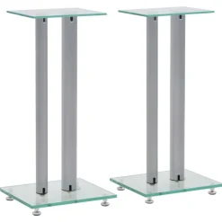 vidaXL Speakerstandaarden zuil-ontwerp gehard glas zilver 2 st