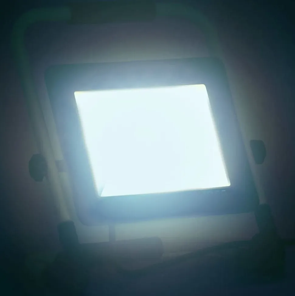 vidaXL Spotlight met handvat LED 100 W koudwit