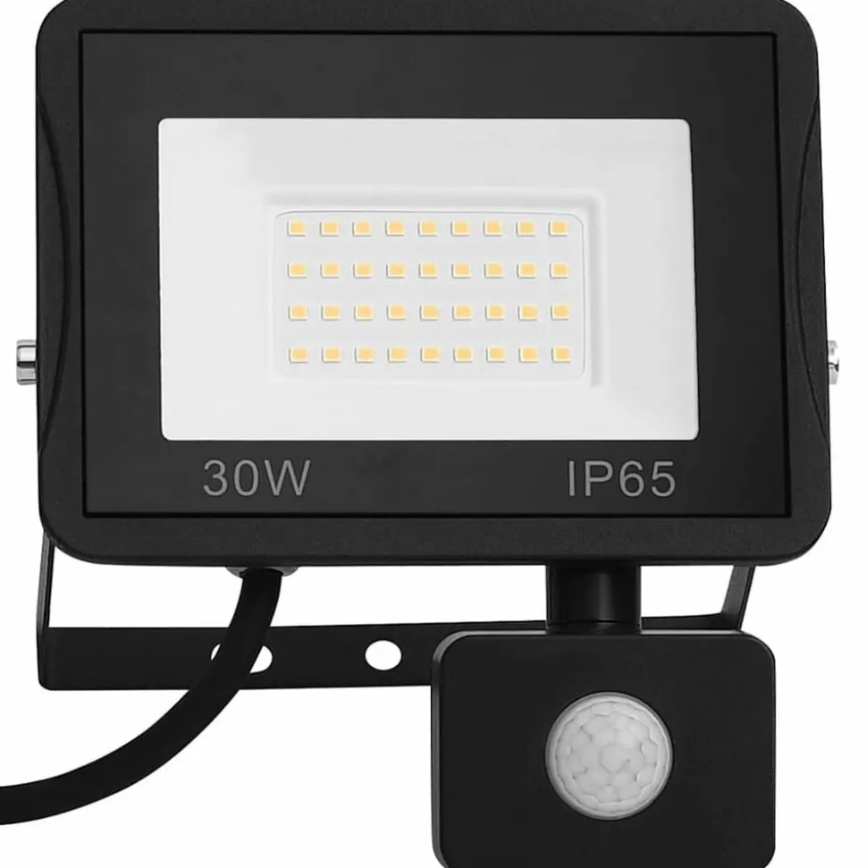 vidaXL Spotlight met sensor LED 30 W warmwit