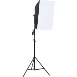 vidaXL Studiolamp professioneel 60x40 cm