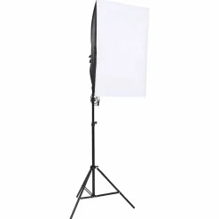 vidaXL Studiolampen 2 st professioneel 40x60 cm