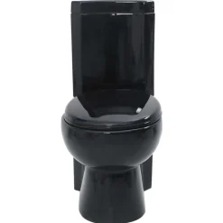 vidaXL Toilet hoekmodel keramisch zwart