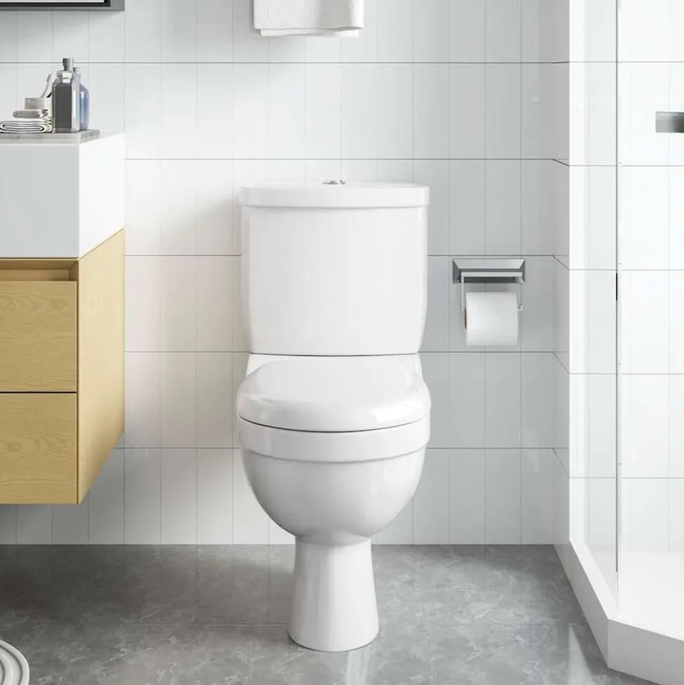 vidaXL Toilet met stortbak wit