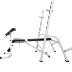 vidaXL Trainingsbank met gewichtenrek en halterset 60,5 kg
