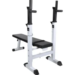 vidaXL Trainingsbank met gewichtenrek en halterset 120 kg