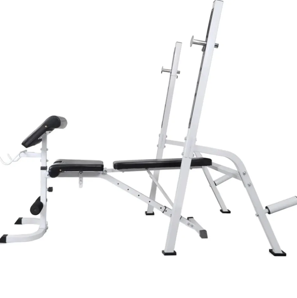 vidaXL Trainingsbank met gewichtenrek en halterset 120 kg