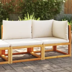 vidaXL Tuinbank met kussens 2-zits acaciahout & rotan