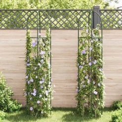 vidaXL Tuinboogtorens 2 st