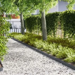 vidaXL Tuinrand 10 pcs Antraciet 100 x 0,05 x 15 cm Koudgewalst staal