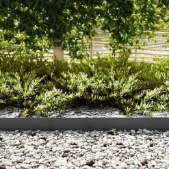 vidaXL Tuinrand 10 pcs Zwart 100 x 0,05 x 15 cm Koudgewalst staal