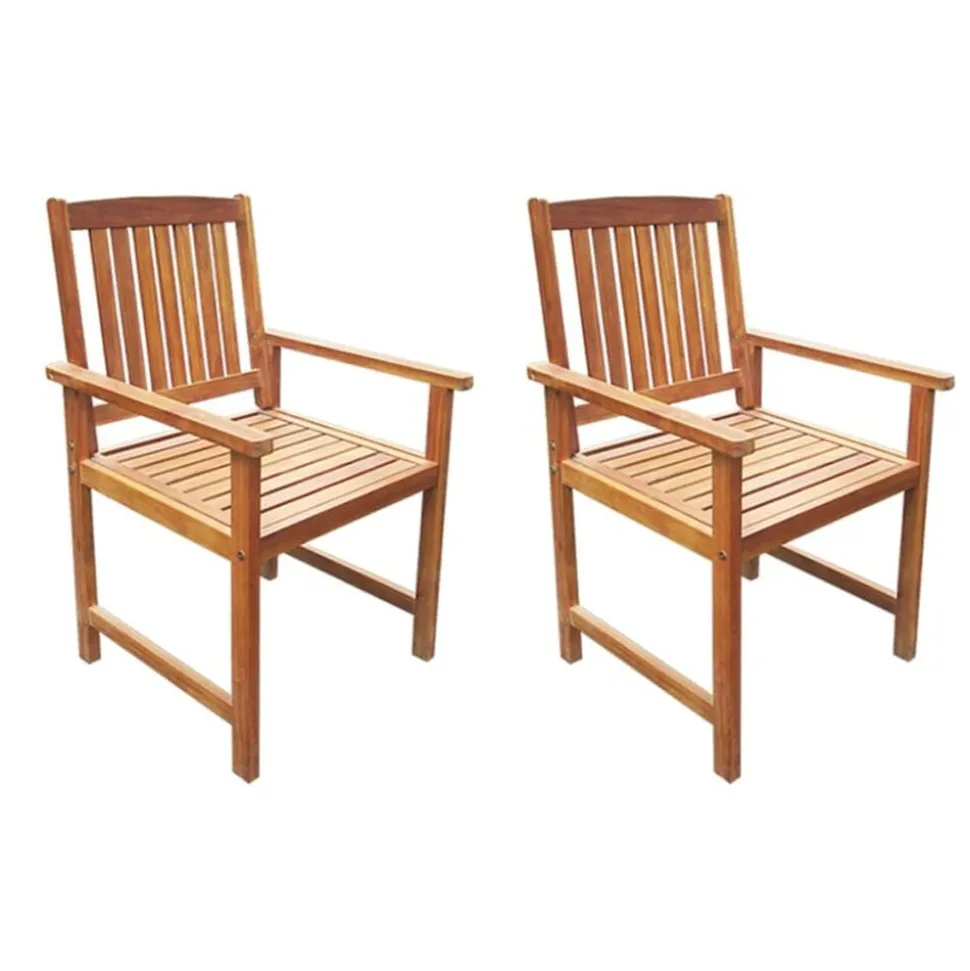 vidaXL Tuinstoelen 2 st massief acaciahout bruin