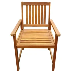 vidaXL Tuinstoelen 2 st massief acaciahout bruin