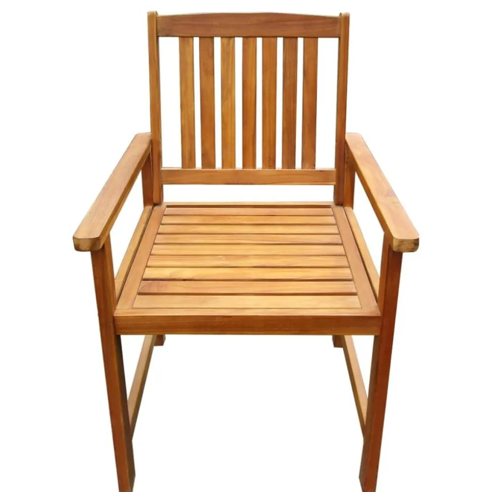 vidaXL Tuinstoelen 2 st massief acaciahout bruin