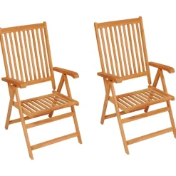 vidaXL Tuinstoelen 2 st met koningsblauwe kussens massief teakhout