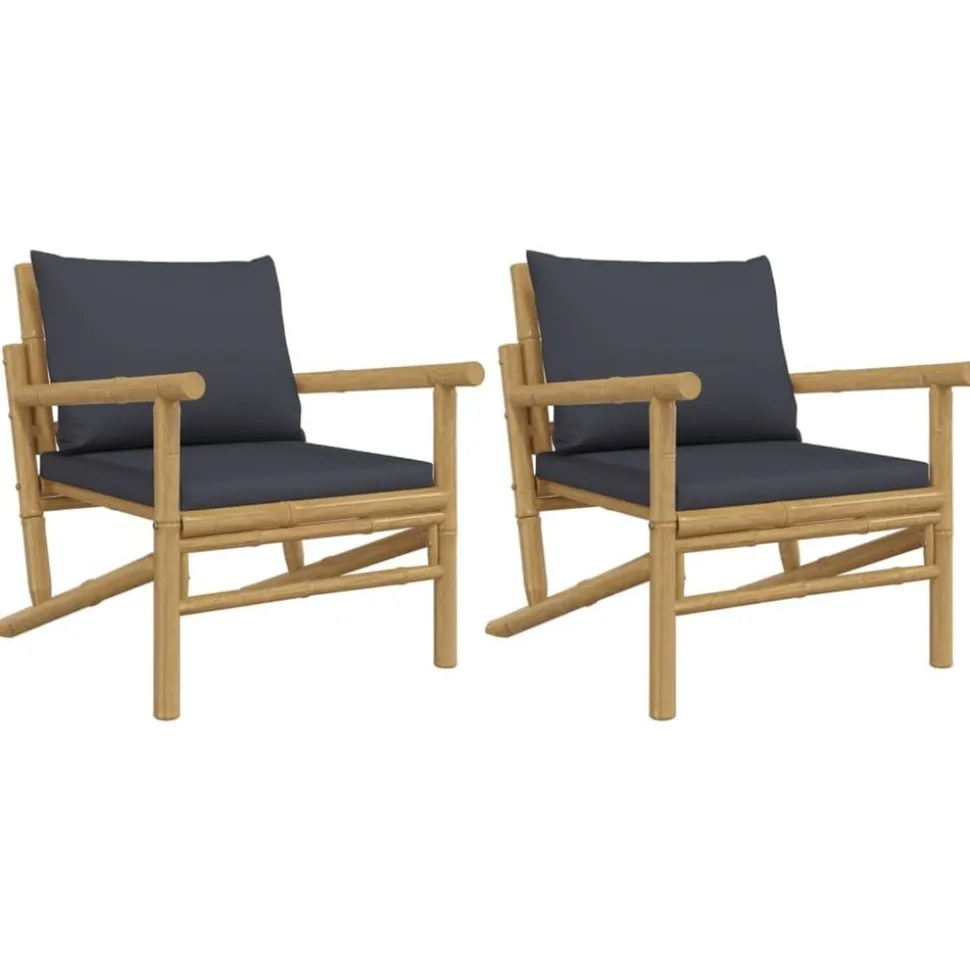 vidaXL Tuinstoelen 2 st met donkergrijze kussens bamboe
