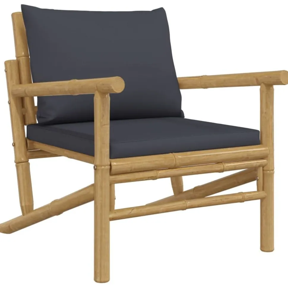 vidaXL Tuinstoelen 2 st met donkergrijze kussens bamboe