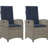 vidaXL Tuinstoelen 2 st verstelbaar met kussens poly rattan grijs