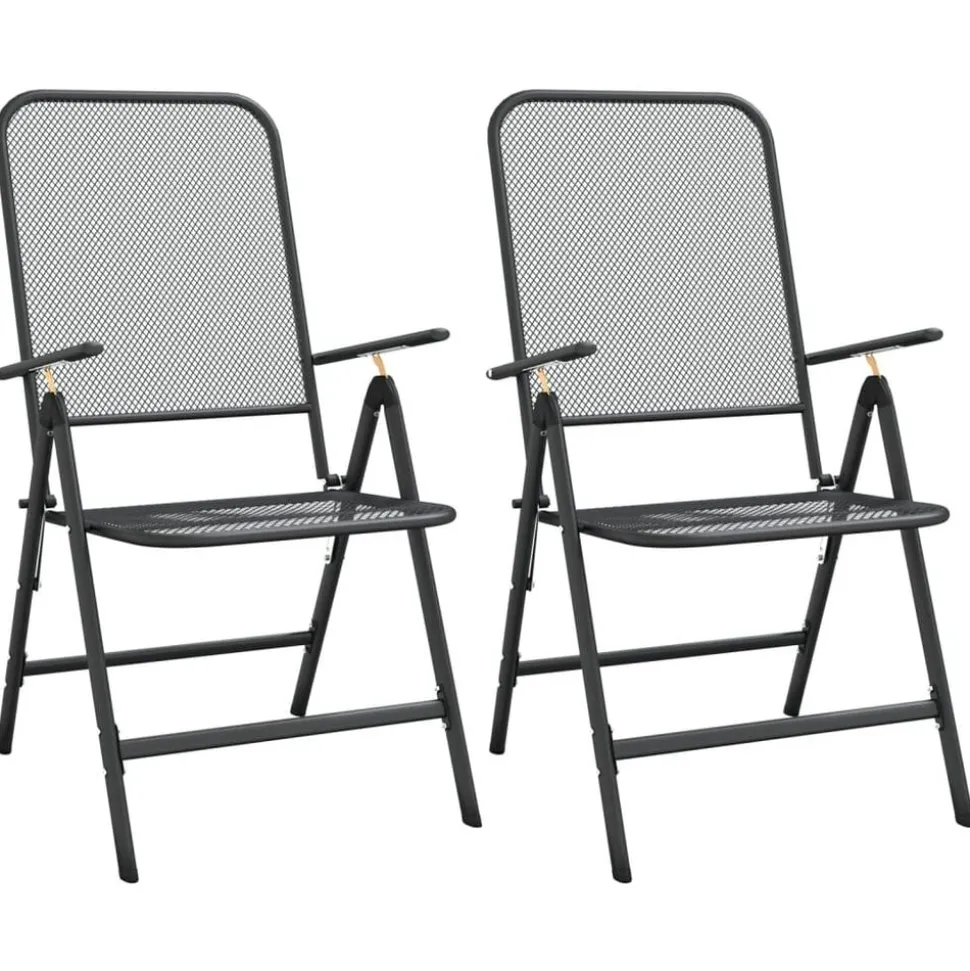 vidaXL Tuinstoelen inklapbaar 2 st metaalgaas antracietkleurig