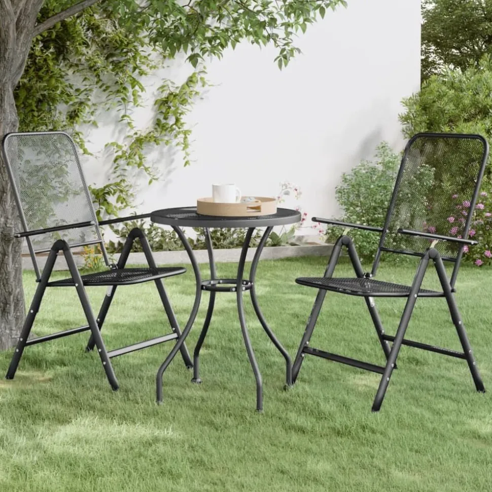 vidaXL Tuinstoelen inklapbaar 2 st metaalgaas antracietkleurig