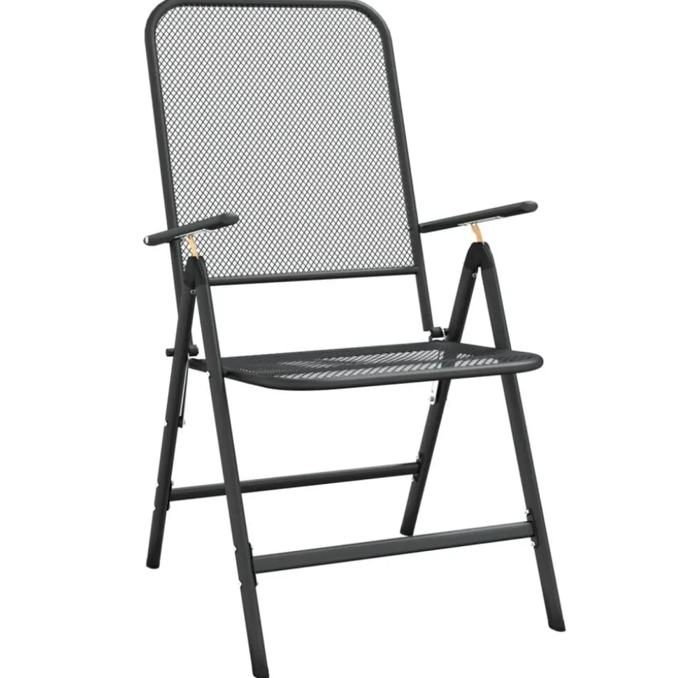 vidaXL Tuinstoelen inklapbaar 2 st metaalgaas antracietkleurig