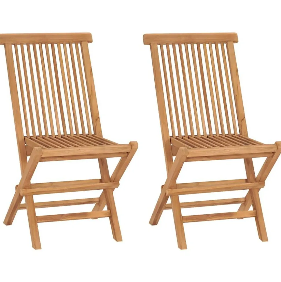 vidaXL Tuinstoelen inklapbaar 2 st massief teakhout
