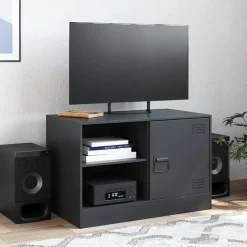 vidaXL Tv-meubel 67x39x44 cm staal zwart