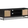vidaXL Tv-meubel120x30x40 cm massief mangohout