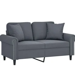 vidaXL Tweezitsbank met sierkussens 120 cm fluweel donkergrijs