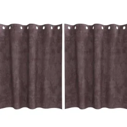 vidaXL Velvet Gordijnen met gordijnen 2 pcs Bruin 140 x 140 cm Fluweel