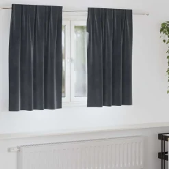vidaXL Verduisterende gordijnen 2 pcs Donkergrijs 140 x 140 cm Fluweel