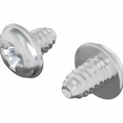vidaXL Vergrendelingsschroeven 2 pcs Zilver M4 x 5 mm IJzer