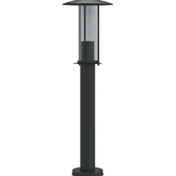 vidaXL Vloerlamp voor buiten 60 cm roestvrij staal zwart