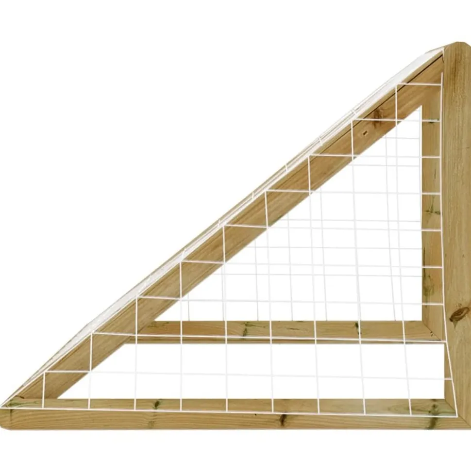 vidaXL Voetbaldoel met net 160x80x100 cm geïmpregneerd grenenhout