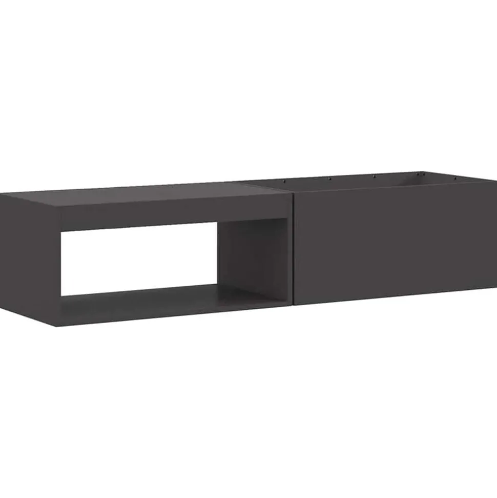 vidaXL Vuurkorf Zwart 160 x 45 x 35 cm Staal