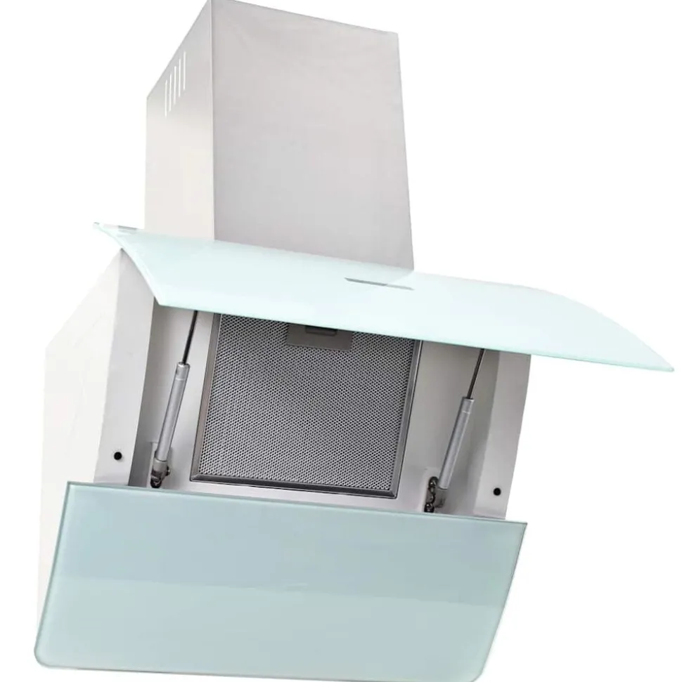 vidaXL Wandafzuigkap 756 m³/u 60 cm roestvrij staal wit