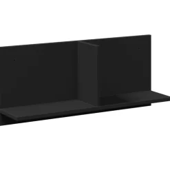 vidaXL Wandkast 70x16,5x30 cm bewerkt hout zwart