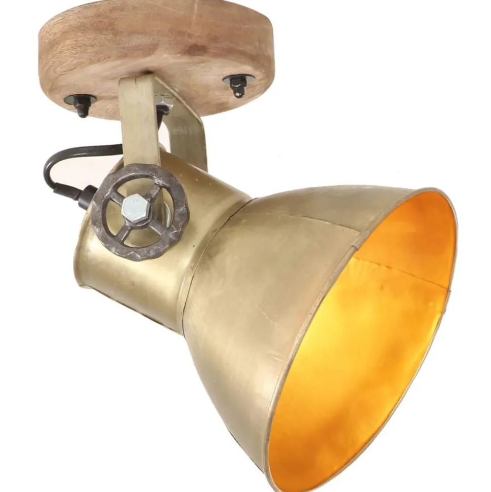 vidaXL Wand-/plafondlampen industrieel 2 st E27 20x25 cm messingkleur