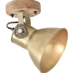 vidaXL Wand-/plafondlampen industrieel 2 st E27 20x25 cm messingkleur