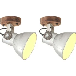 vidaXL Wand-/plafondlampen industrieel 2 st E27 20x25 cm zilverkleurig