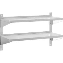 vidaXL Wandschap 2-laags 100x40x60 cm roestvrijstaal zilverkleurig