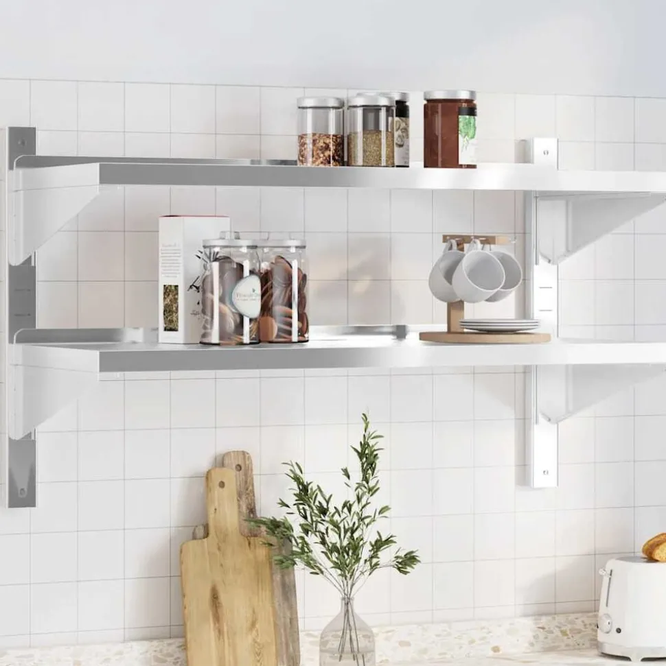 vidaXL Wandschap 2-laags 100x40x60 cm roestvrijstaal zilverkleurig