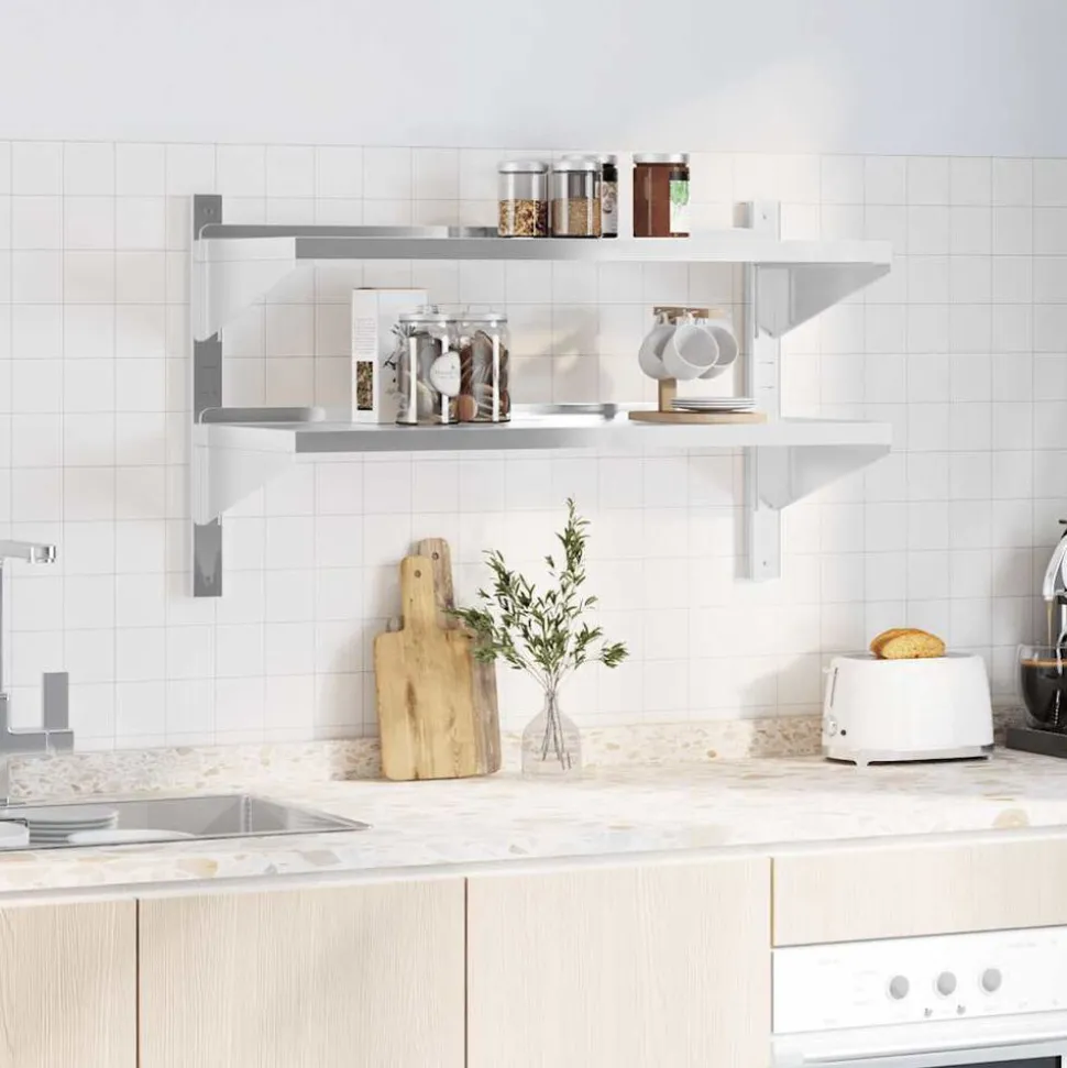 vidaXL Wandschap 2-laags 100x40x60 cm roestvrijstaal zilverkleurig
