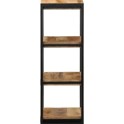 vidaXL Wandschap 35x35x100 cm massief ruw mangohout
