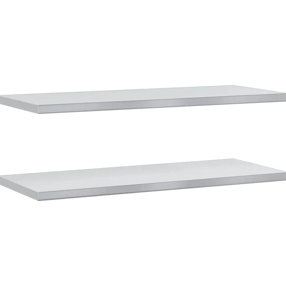 vidaXL Wandschappen 2 st 100x40 cm roestvrijstaal zilverkleurig