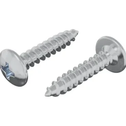 vidaXL Zelftappende Nagel 2 pcs Verzinkt 4 x 20 mm Staal