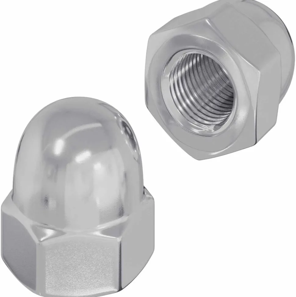 vidaXL Zeskantige eikelnuts 2 pcs Zilver m8 Metaal
